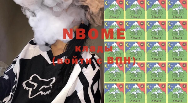 индика Пересвет