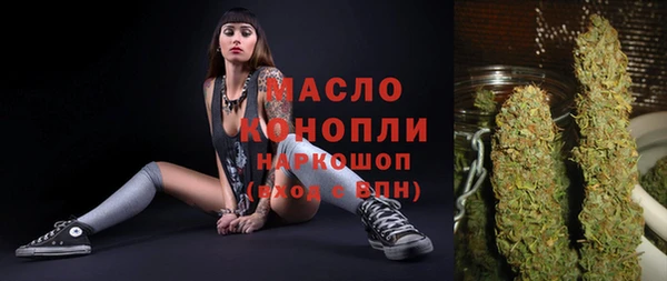 индика Пересвет