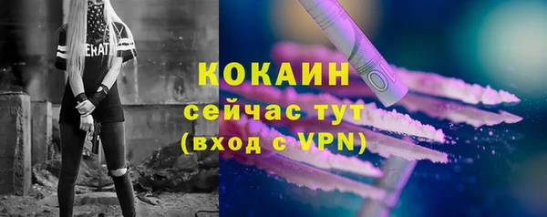 индика Пересвет