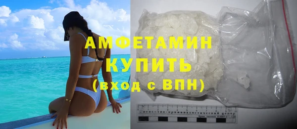 индика Пересвет