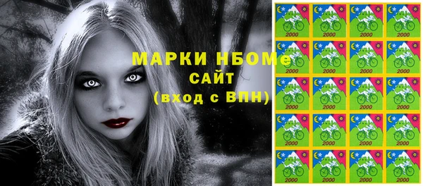 индика Пересвет