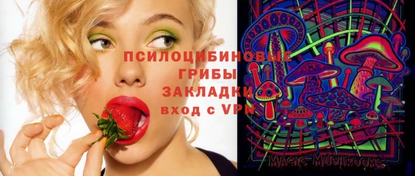 дмт Переславль-Залесский