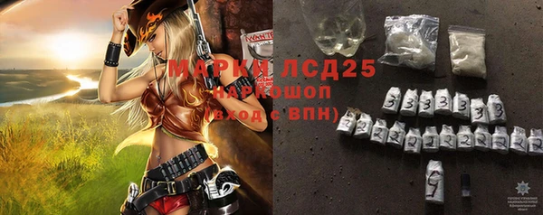 индика Пересвет