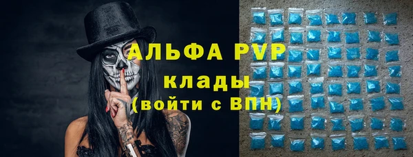 индика Пересвет