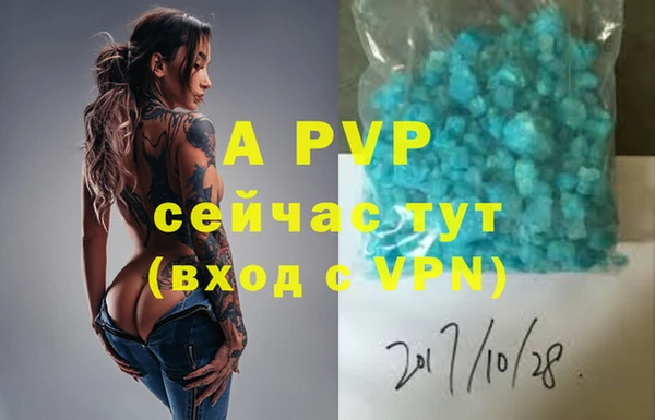 дмт Переславль-Залесский
