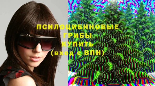 дмт Переславль-Залесский