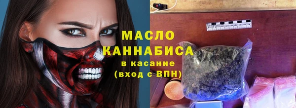 индика Пересвет