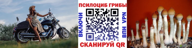Галлюциногенные грибы MAGIC MUSHROOMS  Купить закладки  Нарьян-Мар 